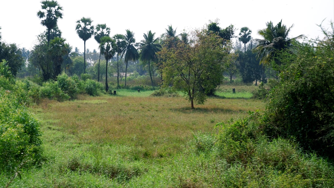 Agricultural land