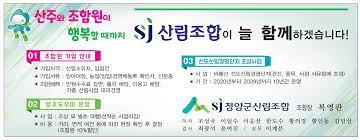 벌초대행 가격비교