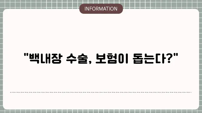 백내장 노안수술 실비: 