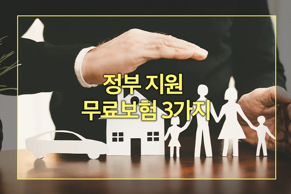 정부 지원 무료보험