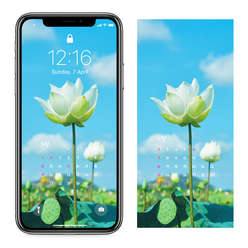 02 백련 하늘배경 AB - 2024년5월 아이폰달력배경화면