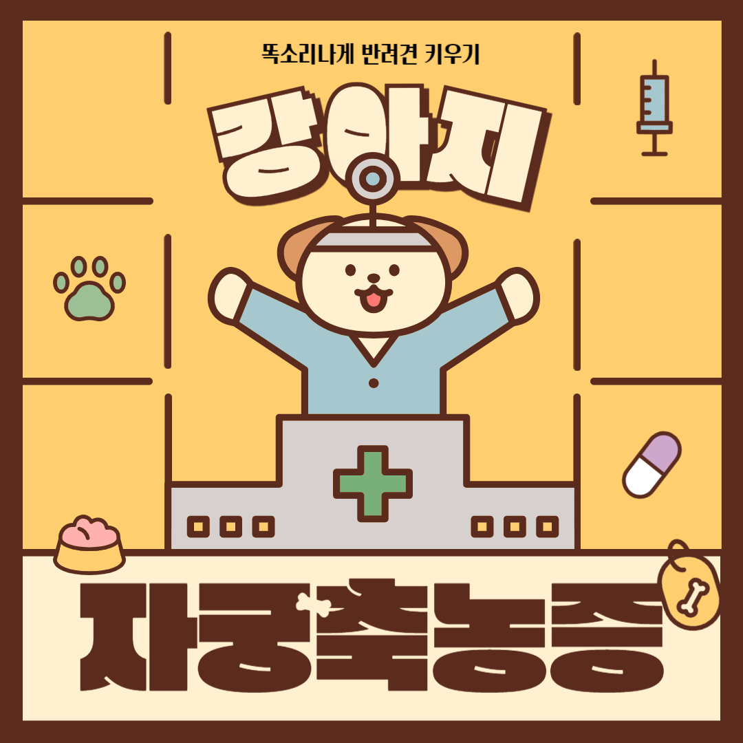 강아지 자궁축농증 원인과 예방 증상 및 치료방법