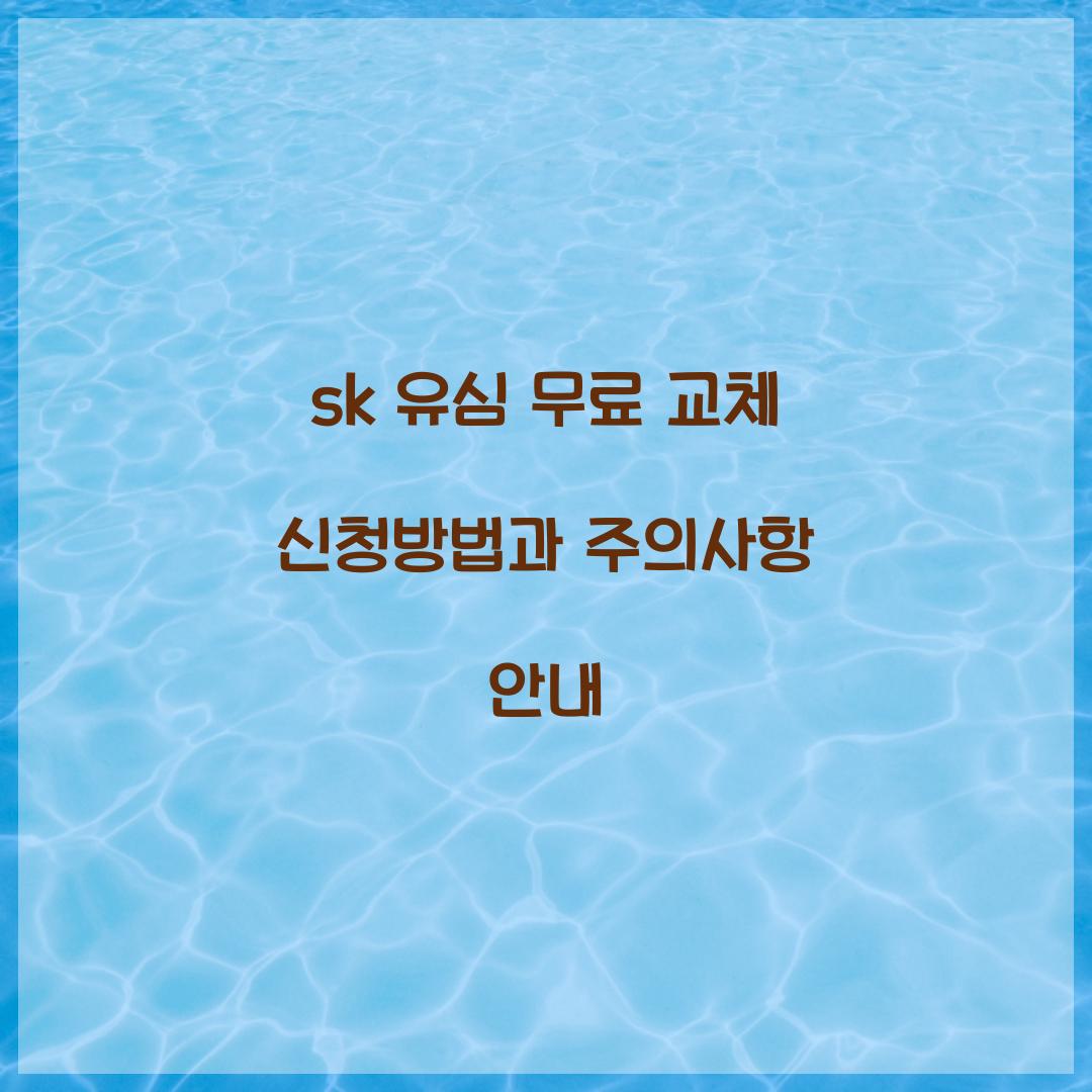 sk 유심 무료 교체