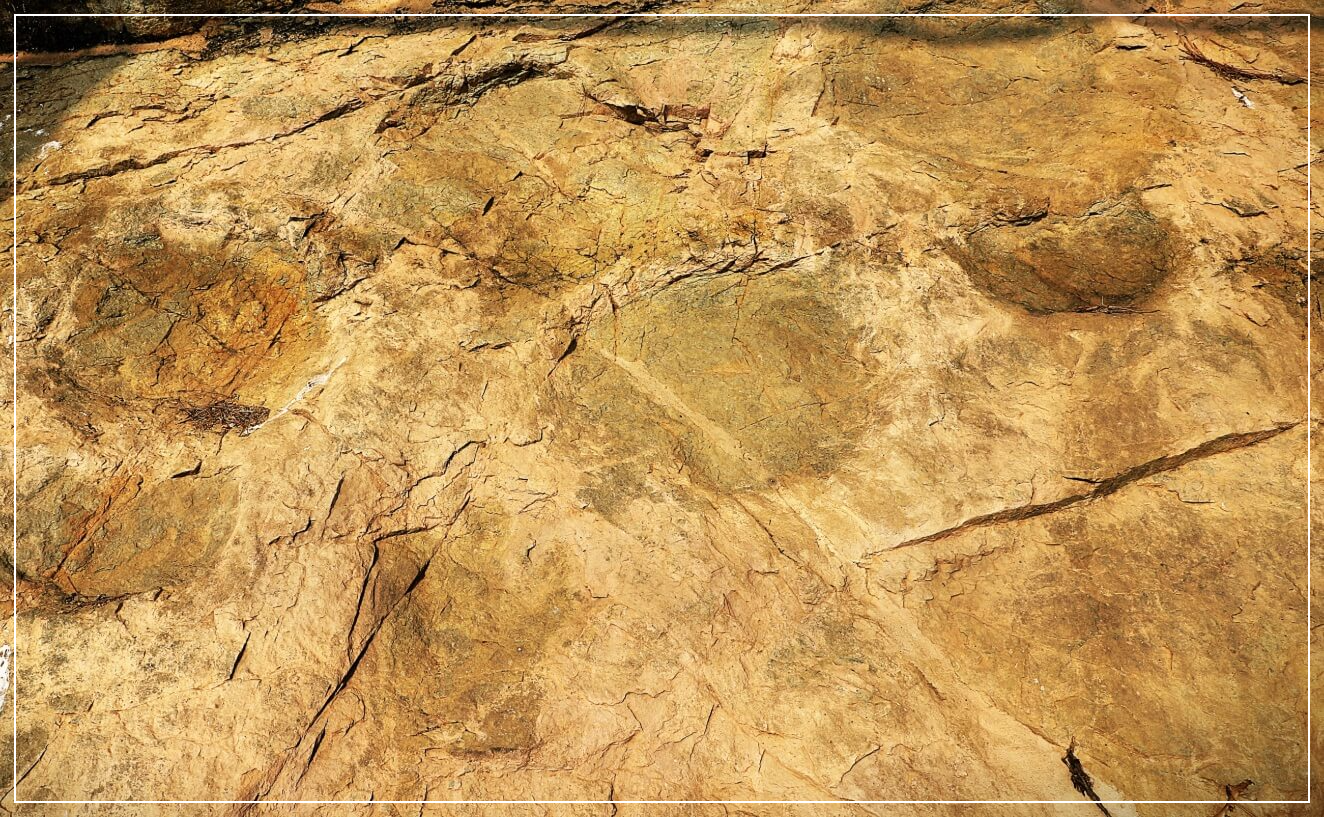 의성 가볼만한곳 베스트10 제오리 공룡발자국 화석산지