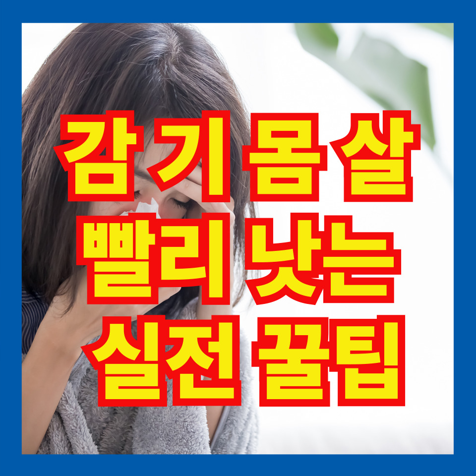 감기몸살 빨리 낫는 실전 꿀팁