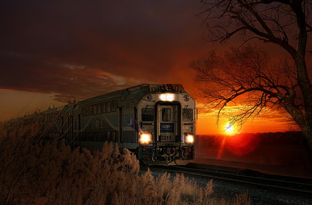 KTX 다자녀 할인 예매