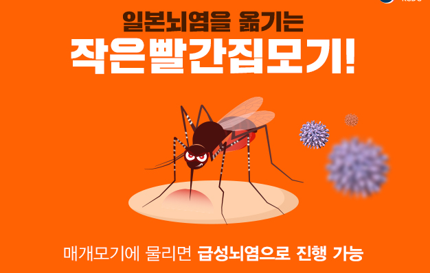일본 뇌염모기
