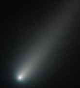 ENFP 유형 특징 분석