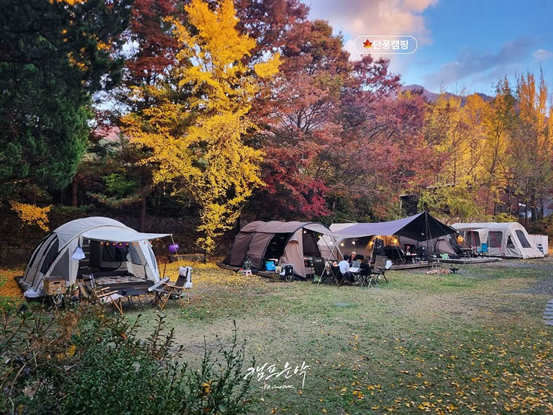 포천 캠프운악 캠핑장 소개