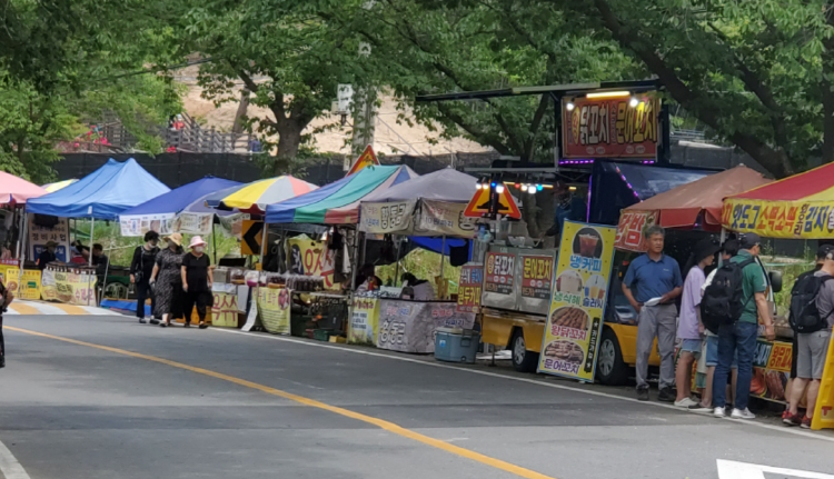 월영산 출렁다리