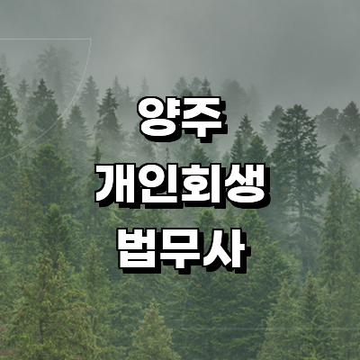 양주시 개인회생 법무사