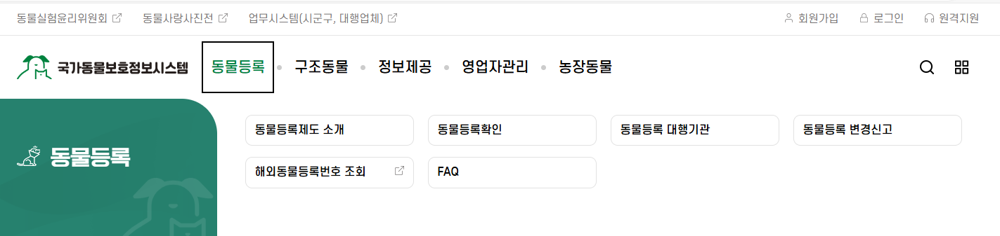 반려견 등록, 자진신고 방법 총정리(2024)