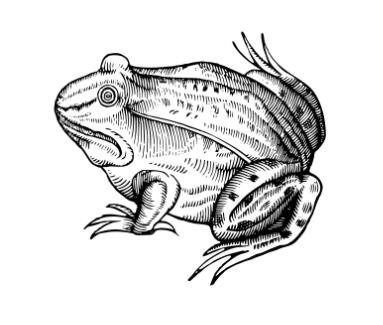 두꺼비 집 게임 아이들의 탐구와 상상력을 자극하는 놀이