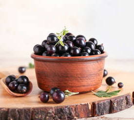 자보티카바 효능 부작용 나무 열매 주스 퓨레 먹는법 브라질 포도 총정리1