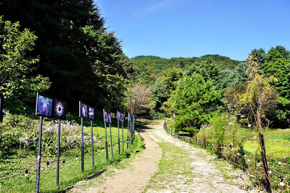 [서울 근교 여행지]산들소리 수목원 &amp; 낭만등불축제 후기