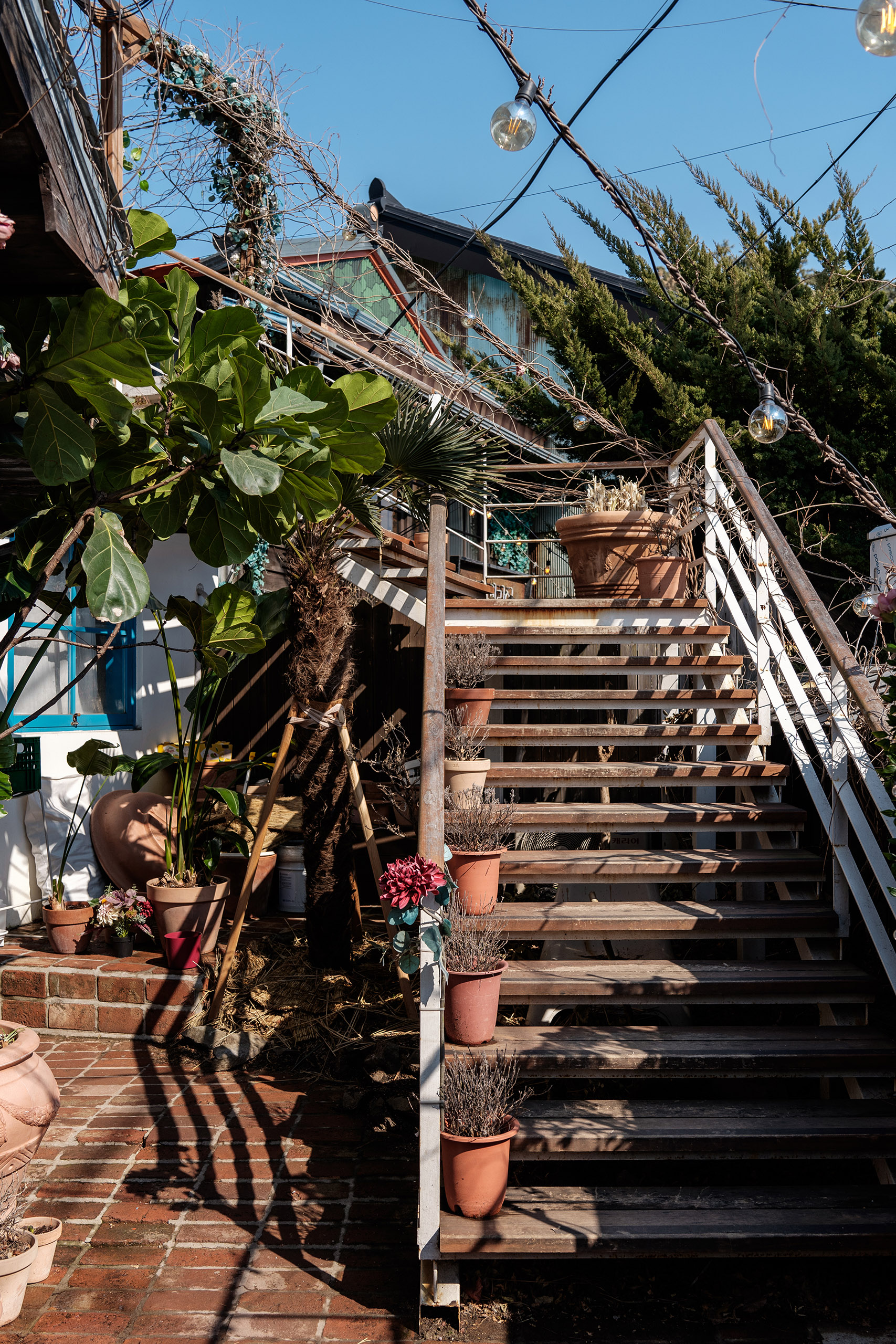 카멜리아 인 구룡포 외관