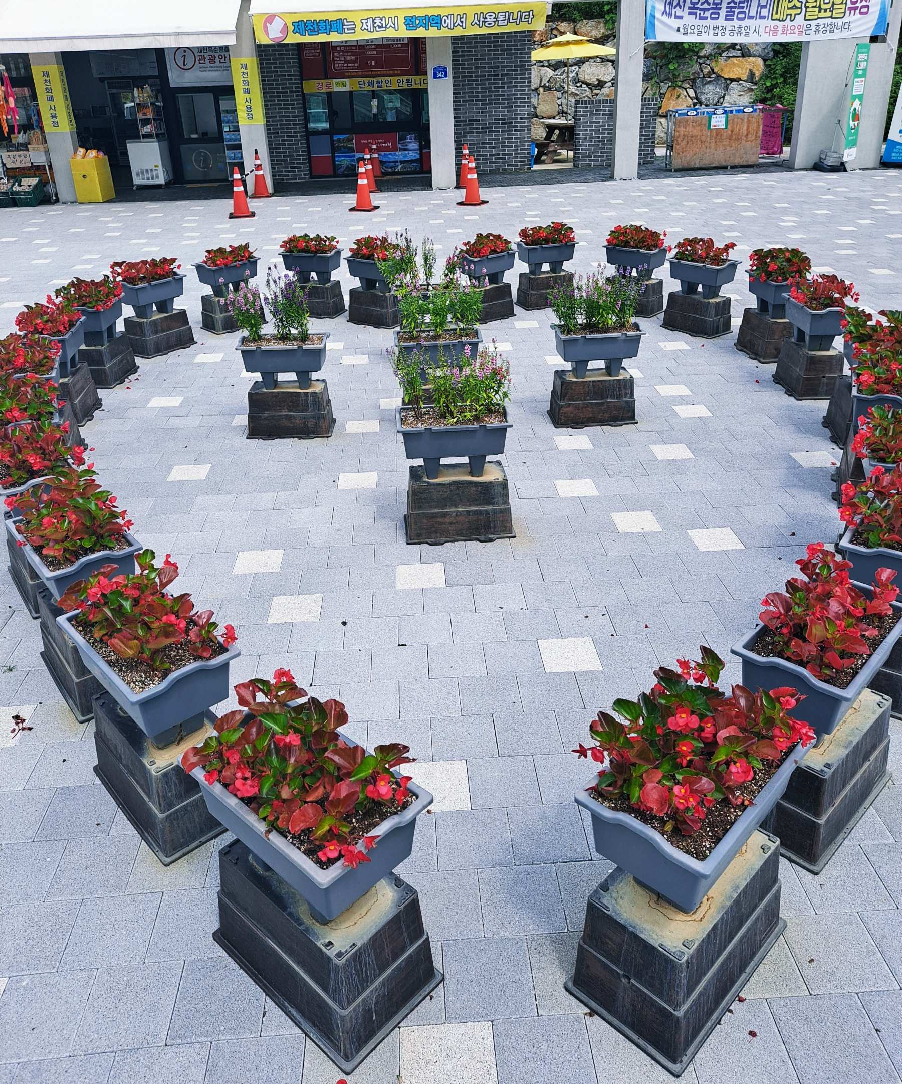 출렁다리 매표소앞 하트화분