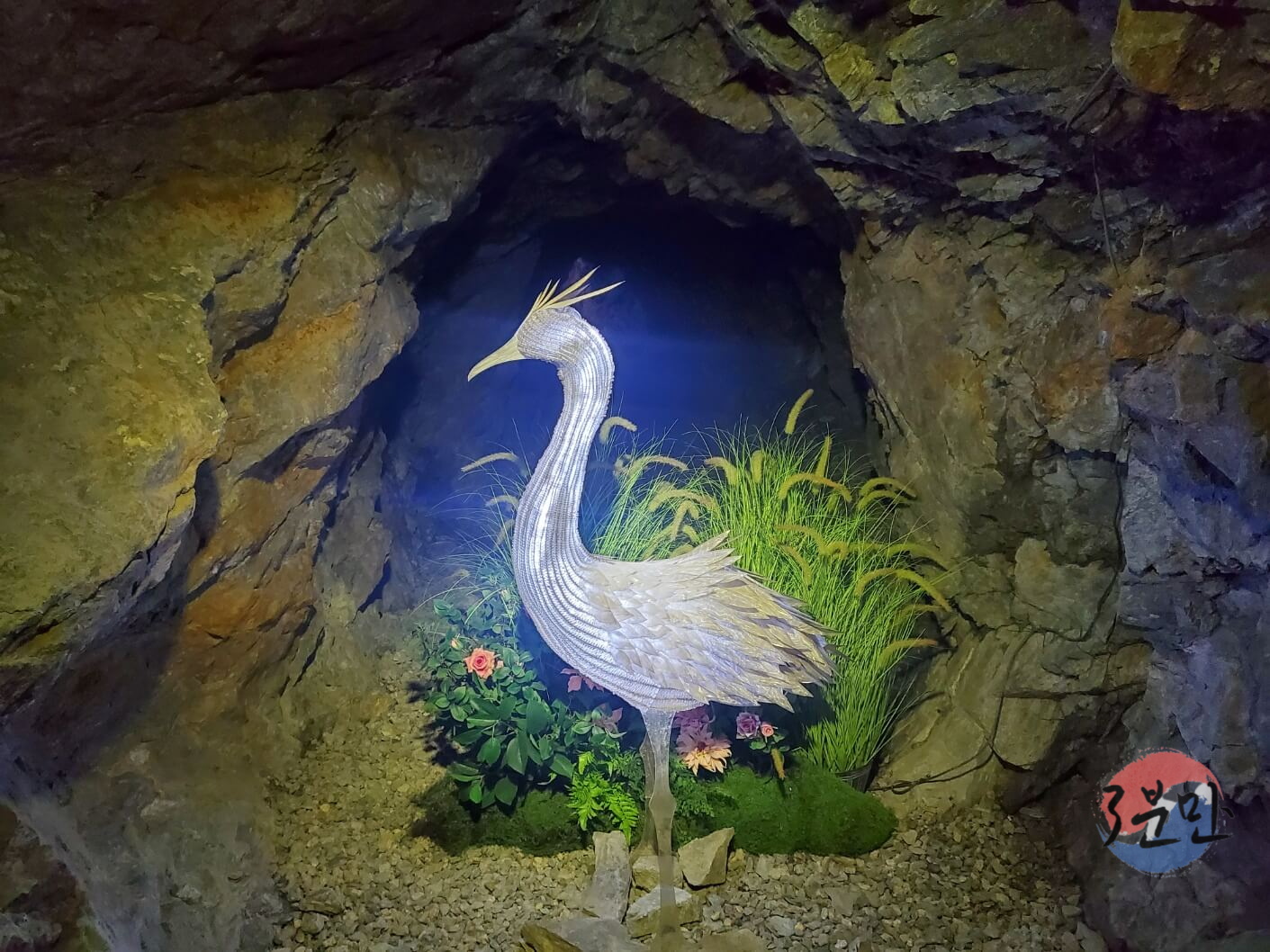 동굴-내부-백조