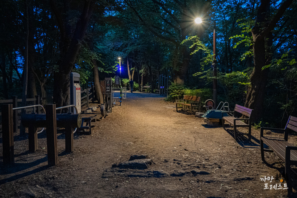 매봉산 공원 오르막길