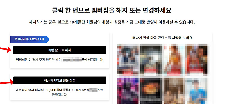 넷플릭스 멤버십 해지 및 환불, 남은 기간 환불 정책