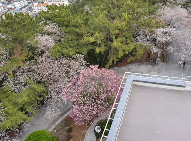 진해-제황산-전망대