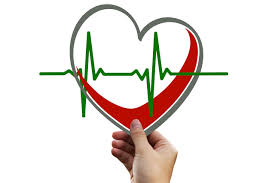 심박수 정상 수치