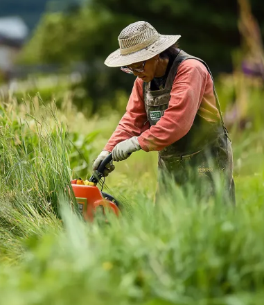 명절 벌초 방법