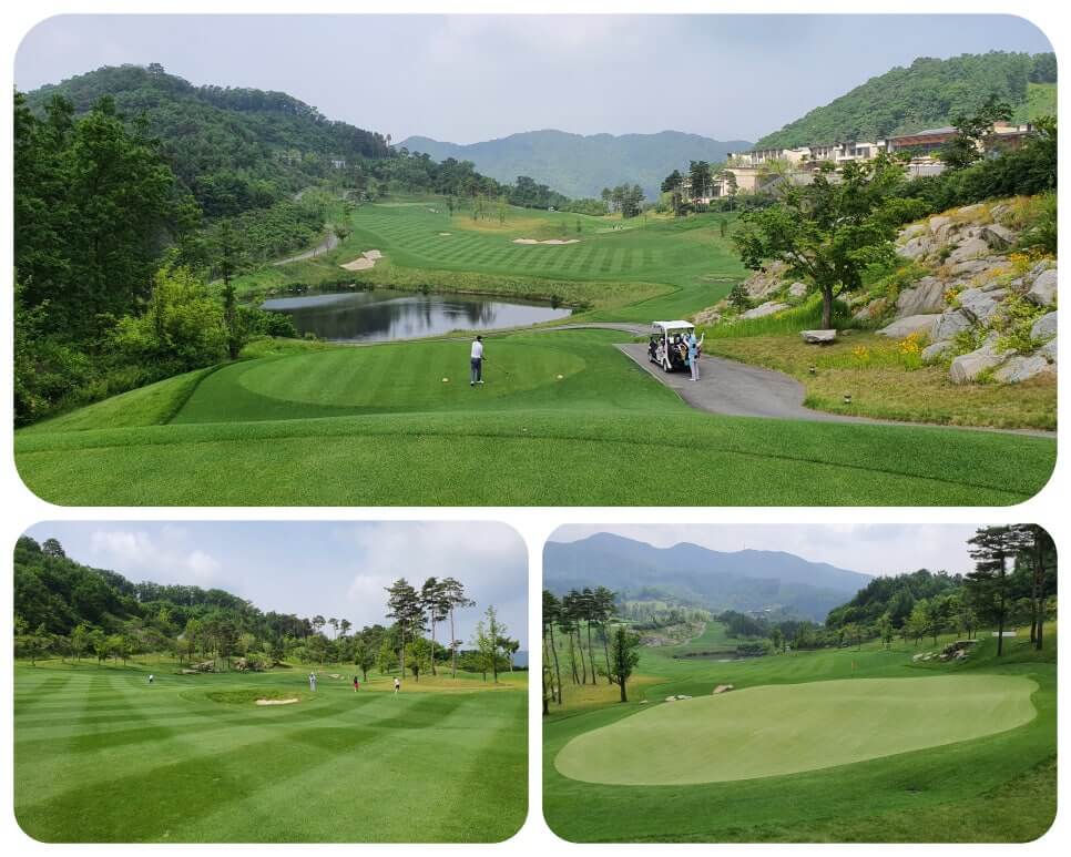 골프장 경험담 홍천 세이지우드cc 사람이 가장 쾌적함을 느끼는 해발 765m에서 경험하는 자연, 골프, 쉼