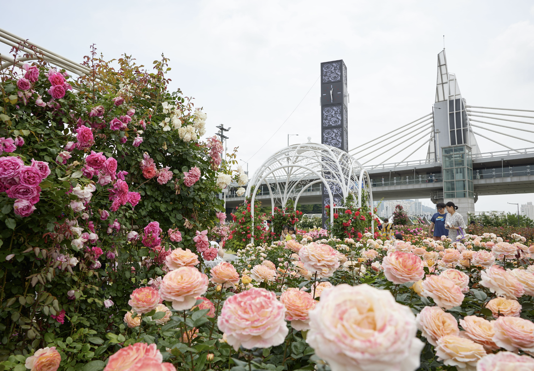 중랑 서울장미축제 포토존
