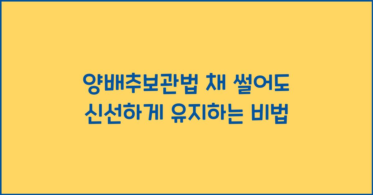 양배추보관법
