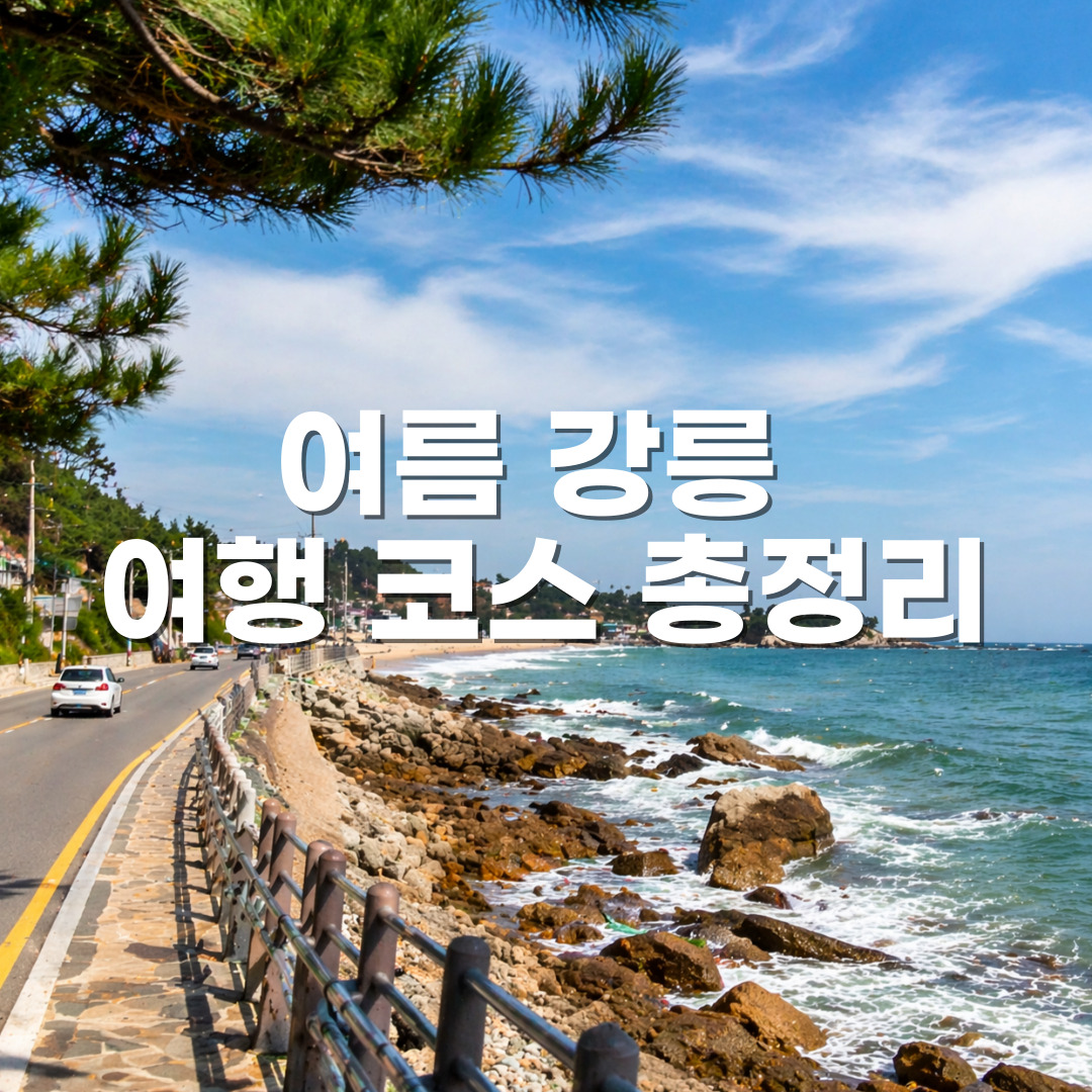 아이랑 가기 좋은 속초 여행 – 바다부터 중앙시장 먹거리 맛집까지 완벽 정리
