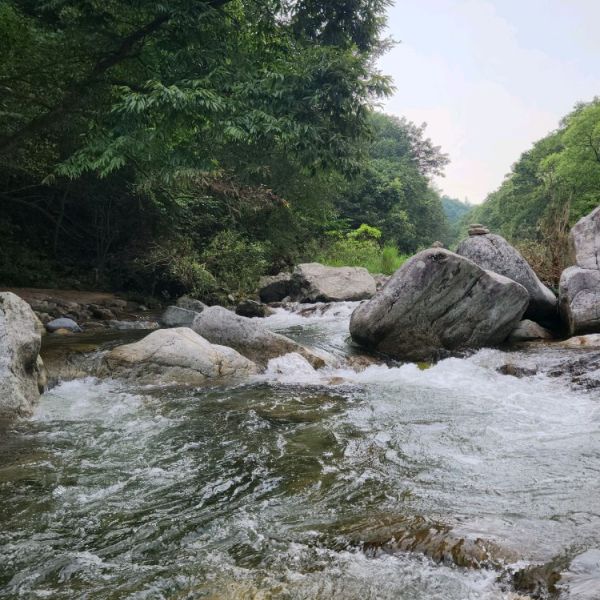 덕동계곡