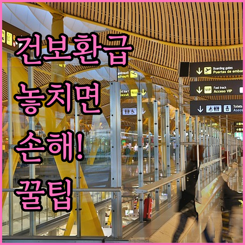 직장인 건강보험료 환급금 놓치지 않는..