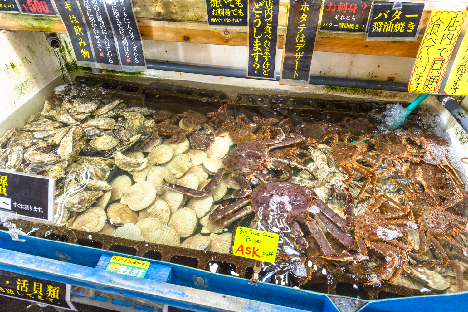 오타루 삼각시장 해산물