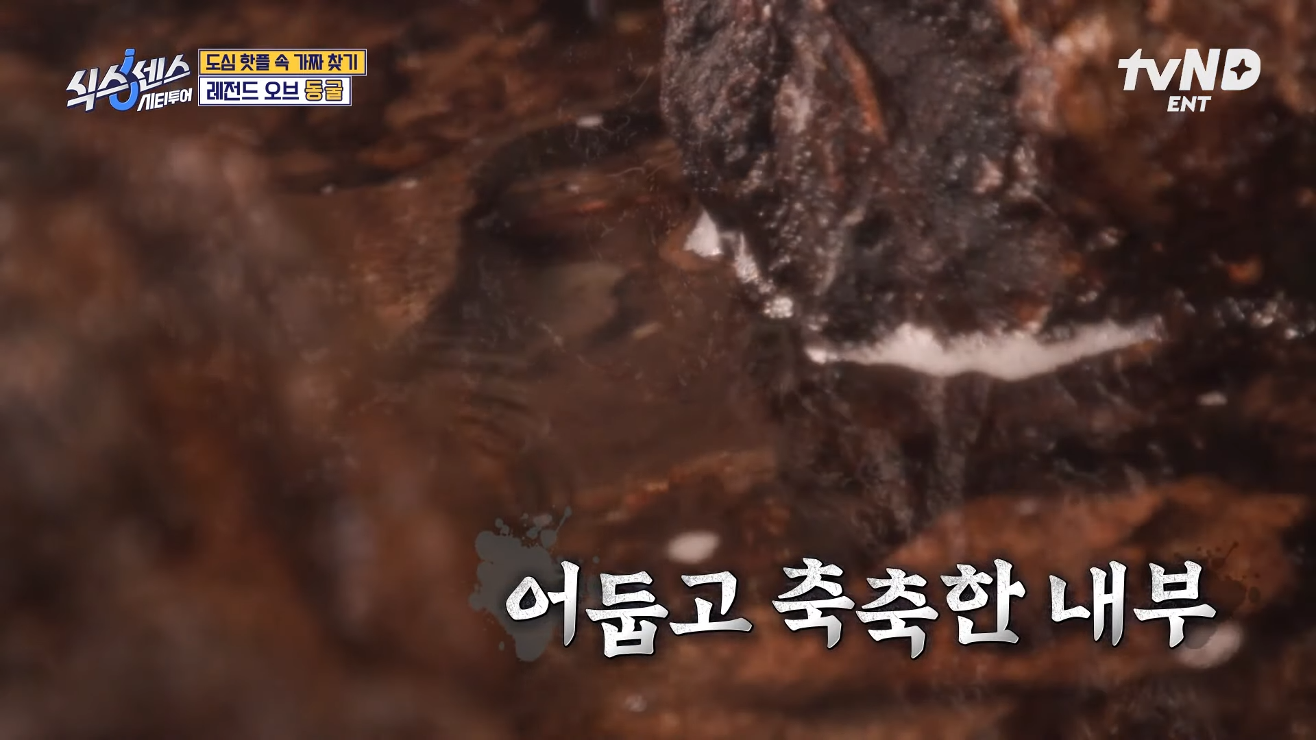 부산 동굴식당 용꿈