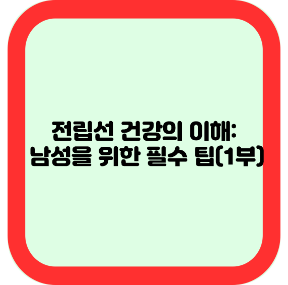 전립선 건강의 이해: 남성을 위한 필수 팁(1부)