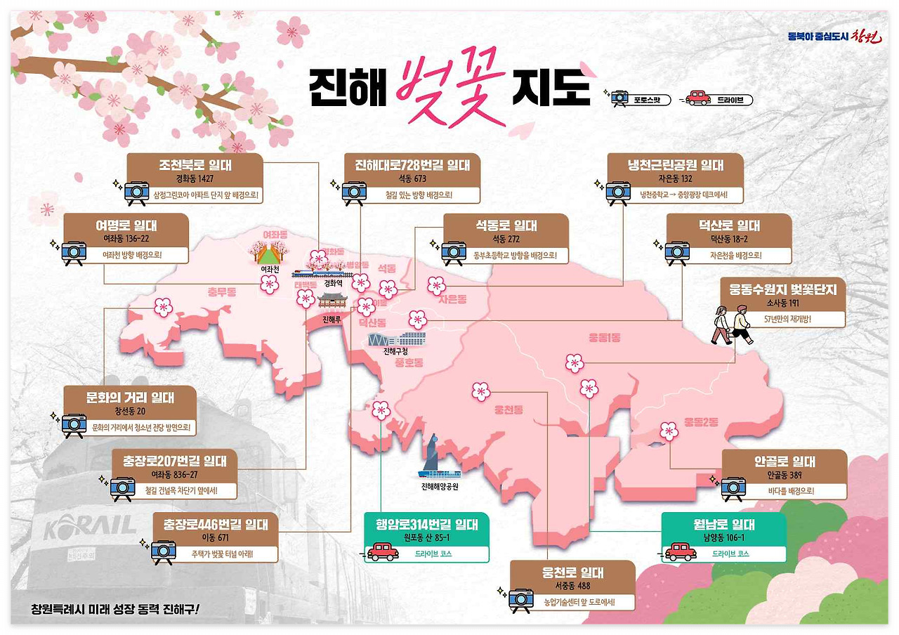 진해 벚꽃축제 ❘ 현지인 추천 벚꽃명소 ❘ 진해 군항제 페스티벌 ❘ 진해 가볼만한 곳