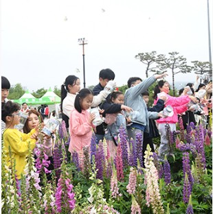 야외 나비날리기 체험행사