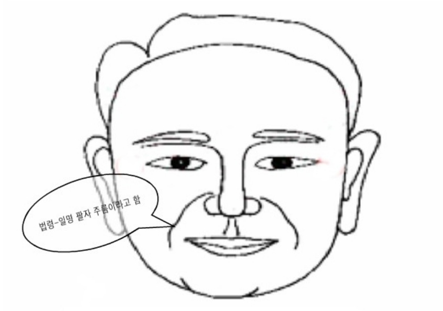 얼굴 중에서 코 옆에서 입술로 내려가는 팔자주름, 즉 법령의 위치를 나타내 주는 이미지 사진