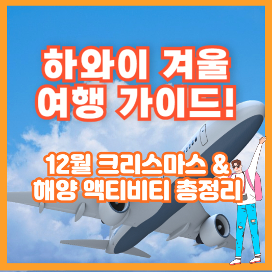 하와이 겨울 여행 가이드! 🌴 12월 크리스마스 &amp; 해양 액티비티 총정리