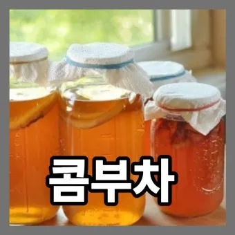 콤부차 효능_13