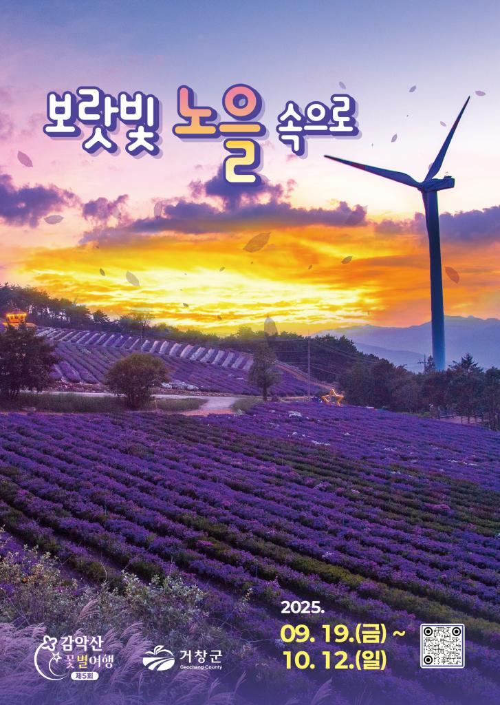 감악산아스타국화축제