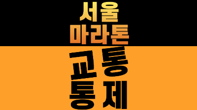 서울 마라톤 2026 교통통제