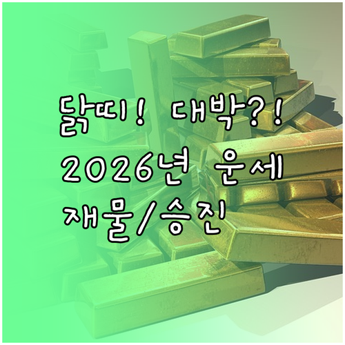 붉은 말의 해 2026년 닭띠 이직 ..