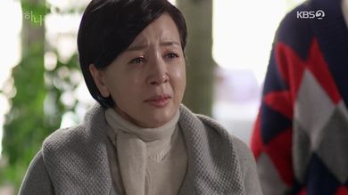 [드라마 다시보기] 하나뿐인 내편 정주행 전편