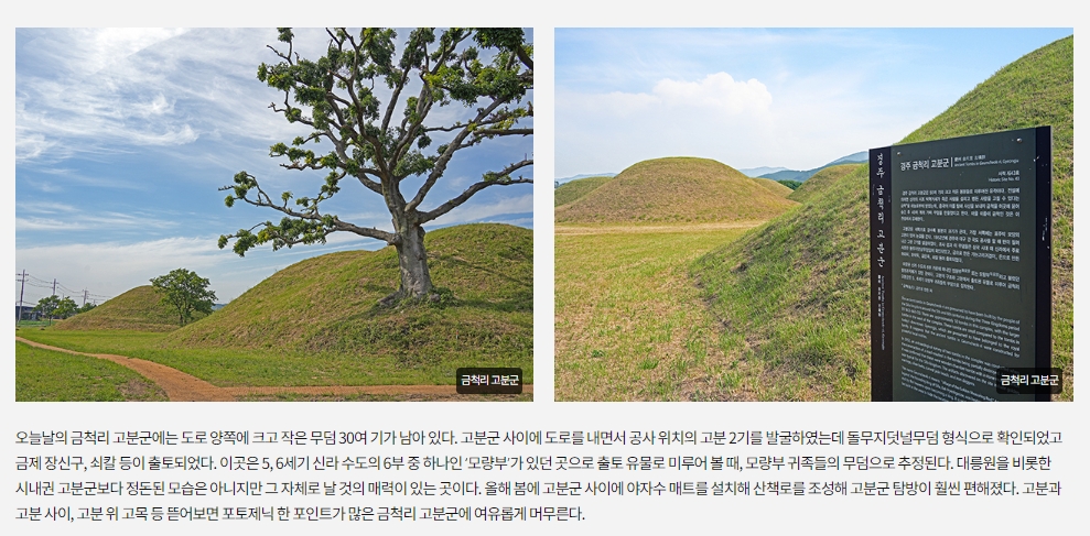 금척리 고분군 산책로 풍경