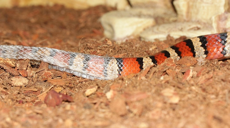 전선 피복 벗기기 전에 준비할 도구