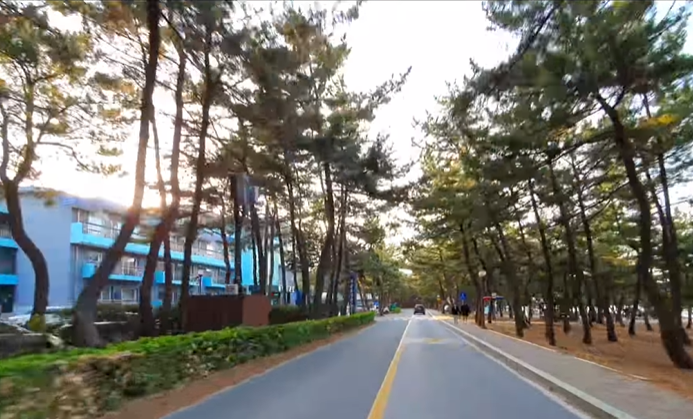 강릉 여행코스 추천