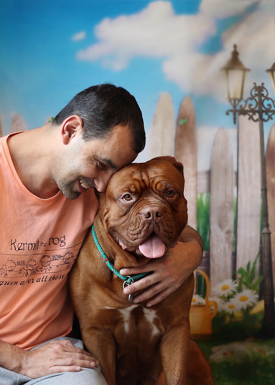 지역별 강아지 놀이시설과 후기