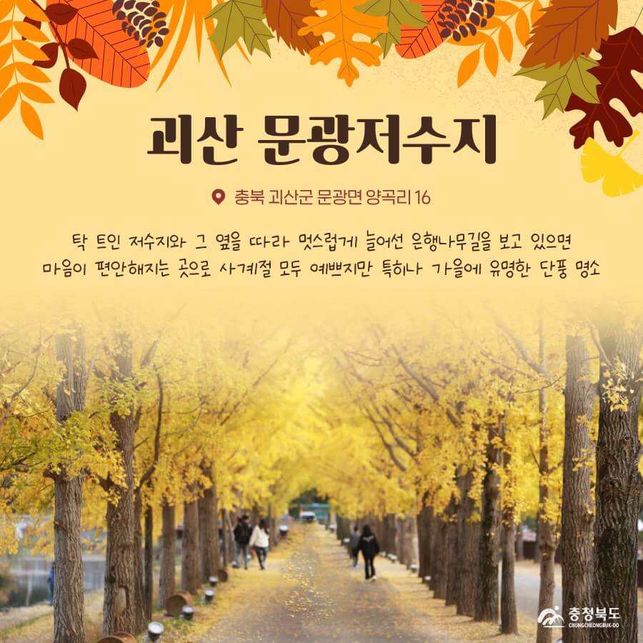 괴산 단풍명소 문광저수지